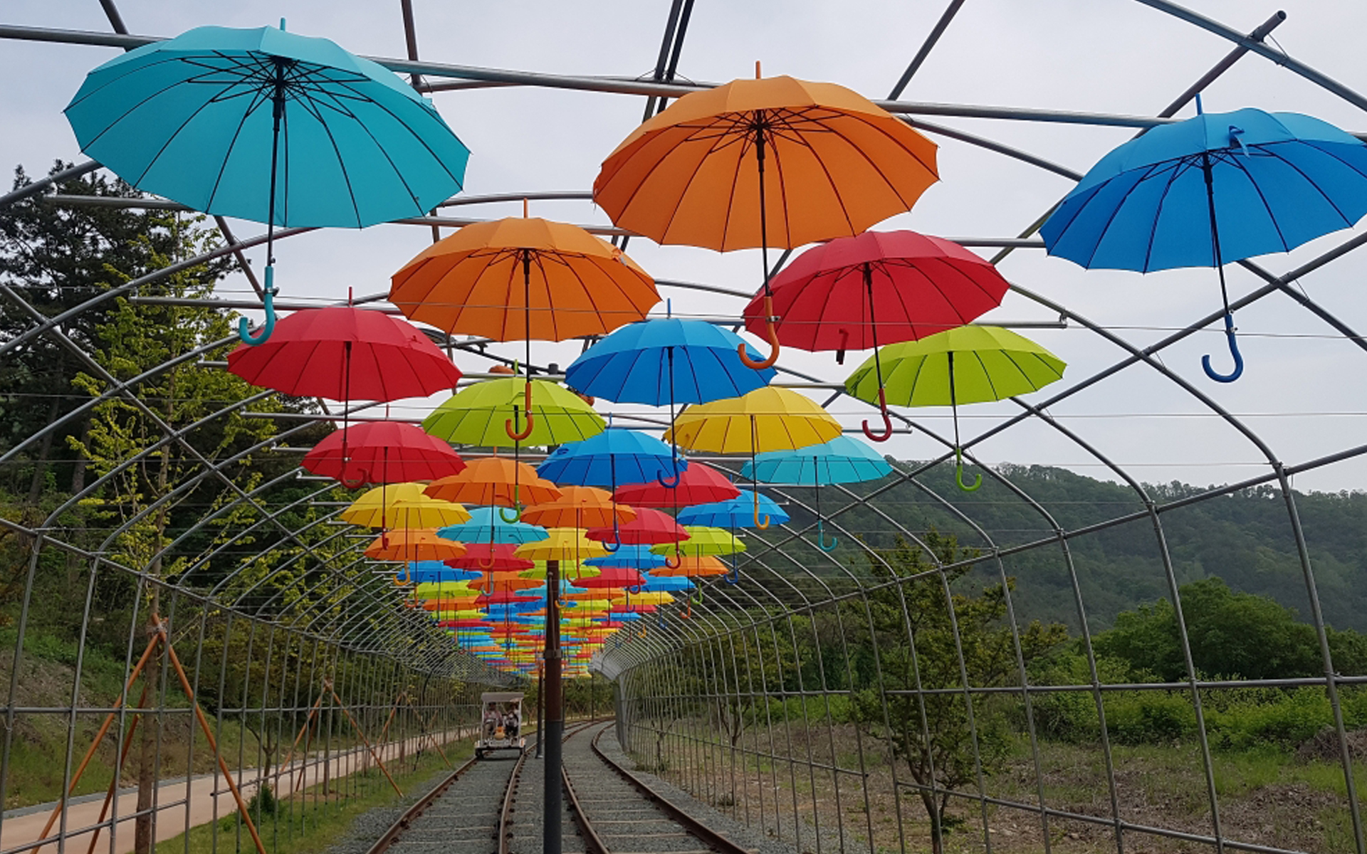 청도레일바이크